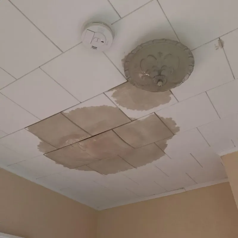 Ceiling Water Damage Repair in Coalfield, TN