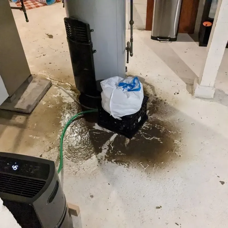 Sewage Backup Cleanup Service in Coalfield, TN